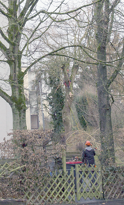 Ulrich Simons - Montanier